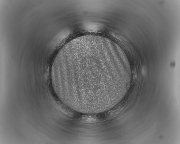 X0000089970559200707202013