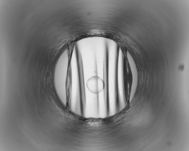 X0000089970560200707202013