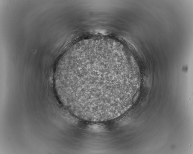 X0000089970561200707202013