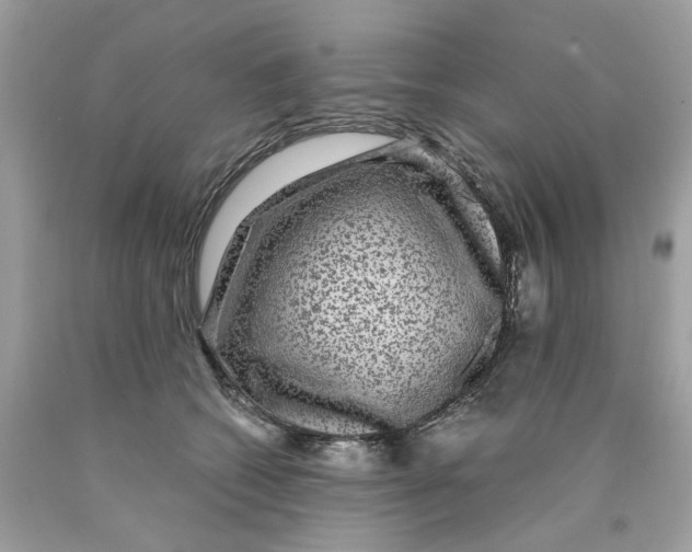 X0000089970562200707202013