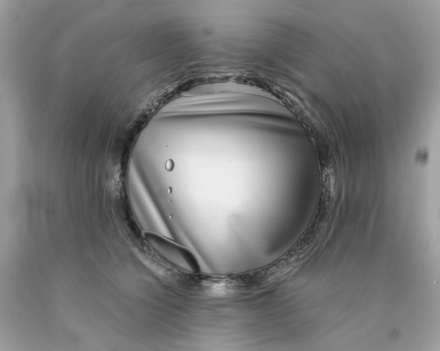 X0000089970564200707202013