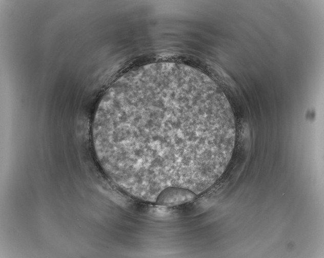 X0000089970565200707202013