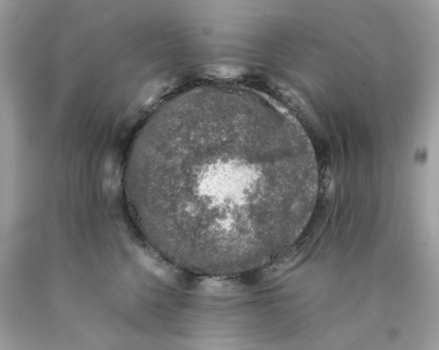 X0000089970568200707202013