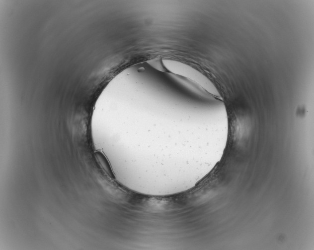 X0000089970570200707202013