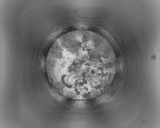 X0000089970573200707202013