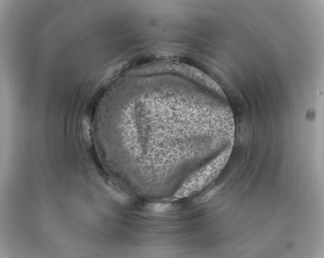 X0000089970575200707202013