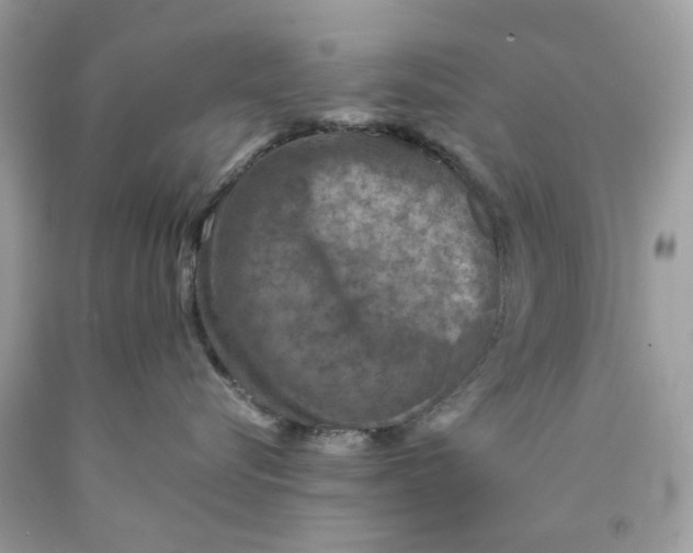 X0000089970576200707202013