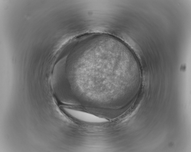 X0000089970577200707202012