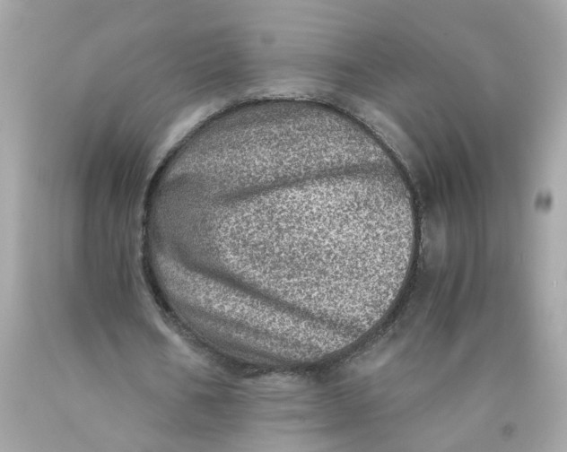 X0000089970578200707202012