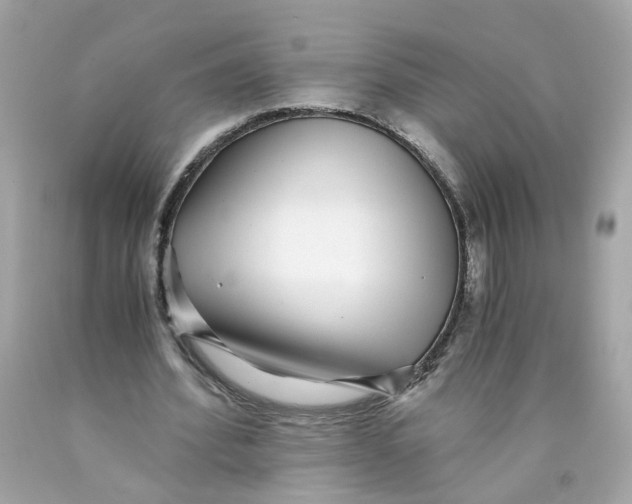 X0000089970580200707202012