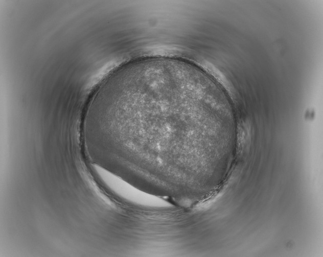 X0000089970581200707202012