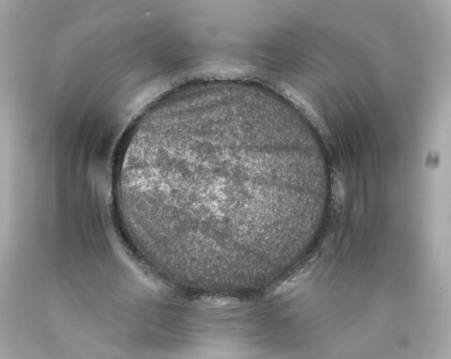 X0000089970582200707202012