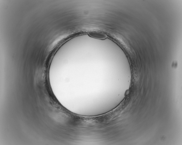 X0000089970583200707202012