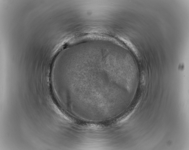 X0000089970585200707202012