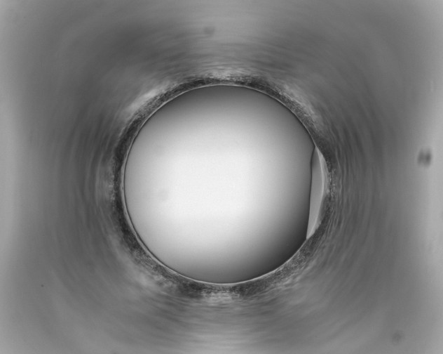 X0000089970587200707202012