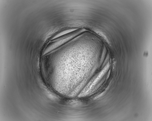 X0000089970589200707202012