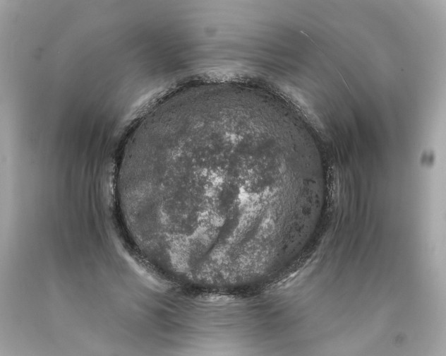 X0000089970590200707202012