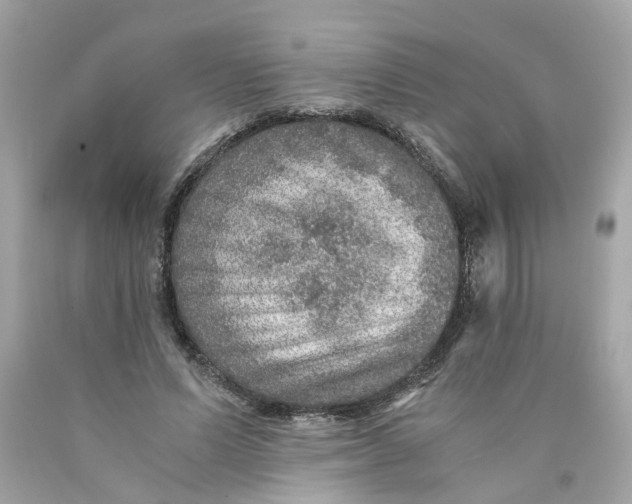 X0000089970591200707202012