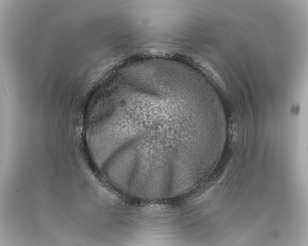 X0000089970593200707202012