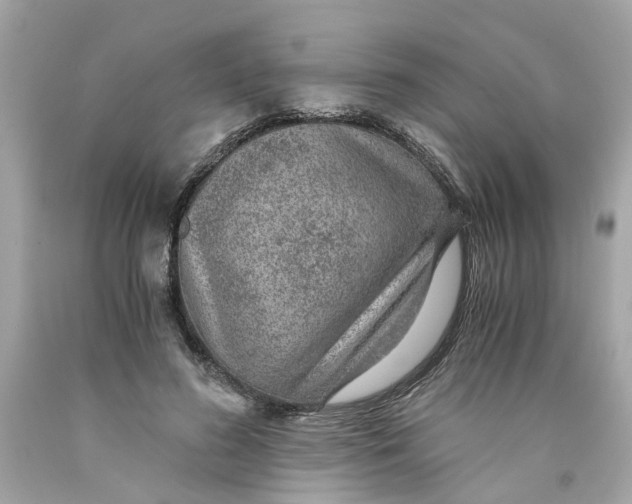 X0000089970596200707202012