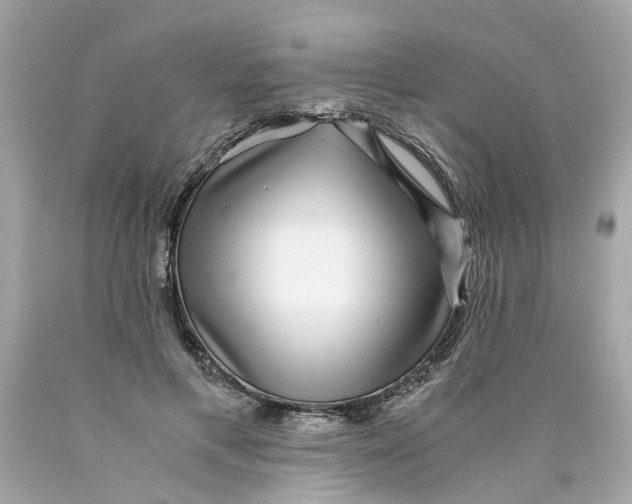 X0000089970597200707202012