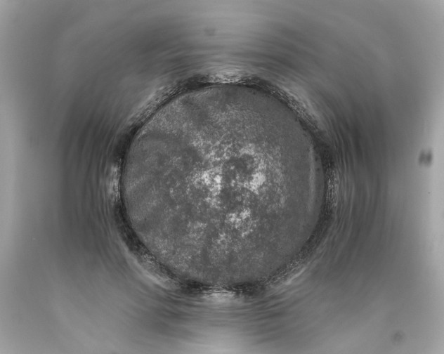 X0000089970598200707202012