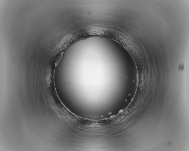 X0000089970600200707202012