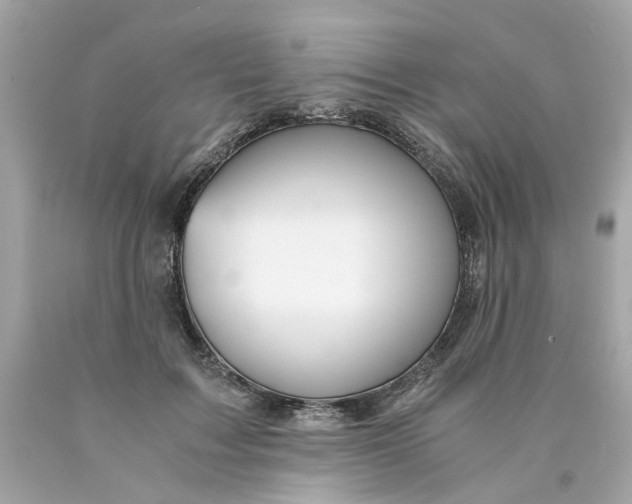 X0000089970603200707202012