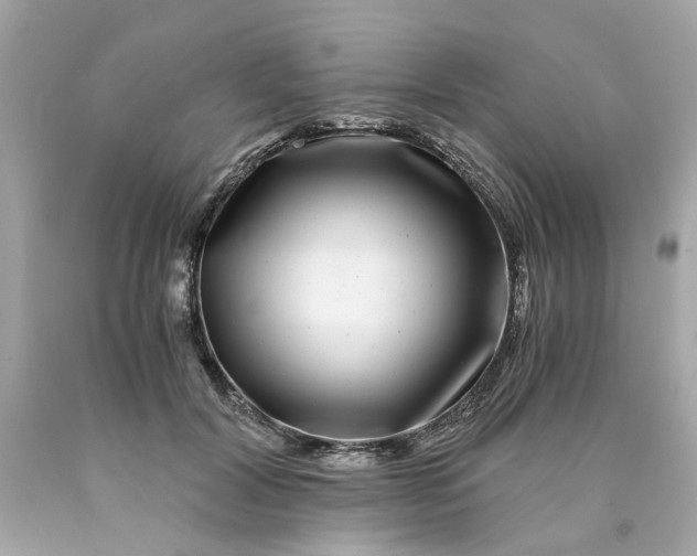 X0000089970604200707202012