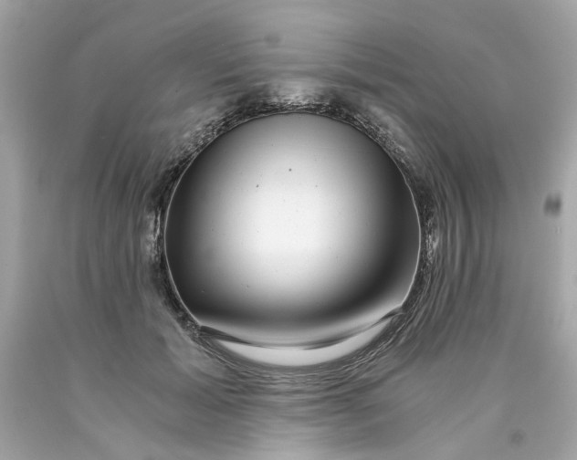 X0000089970605200707202012