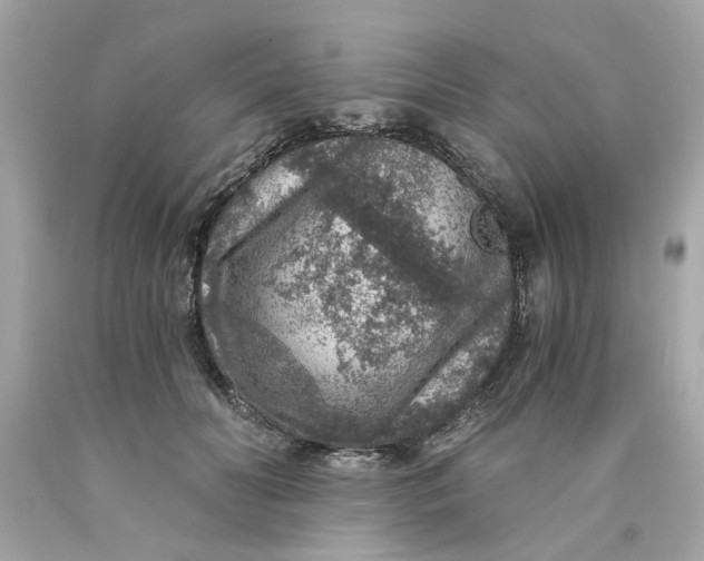 X0000089970606200707202012