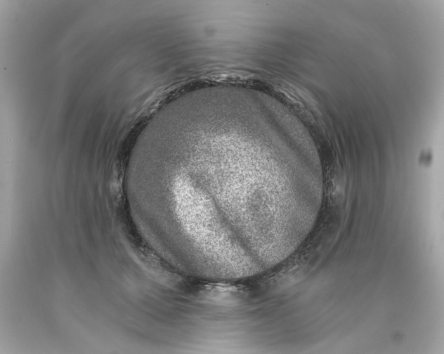 X0000089970607200707202012