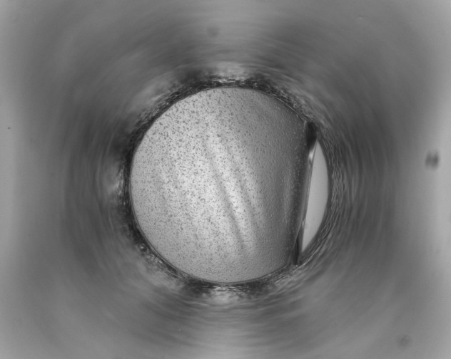 X0000089970608200707202012