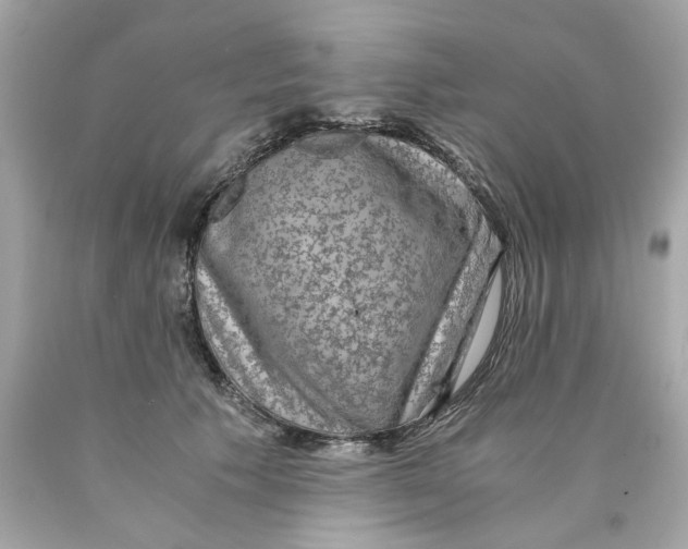 X0000089970609200707202012