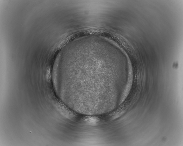 X0000089970610200707202012