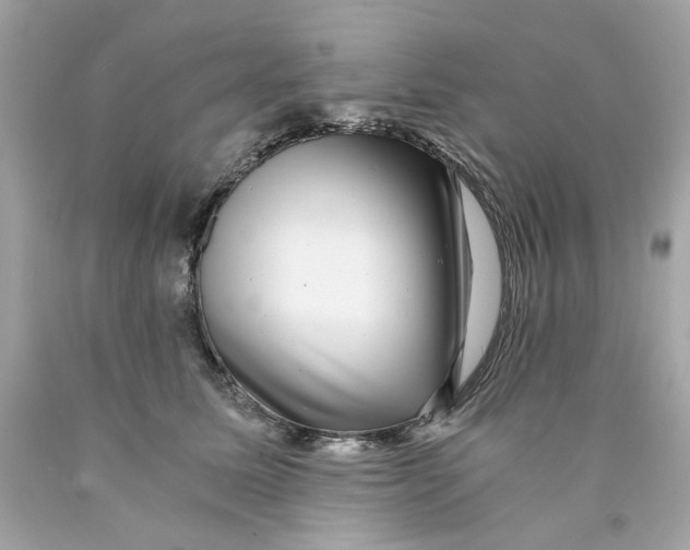 X0000089970611200707202012