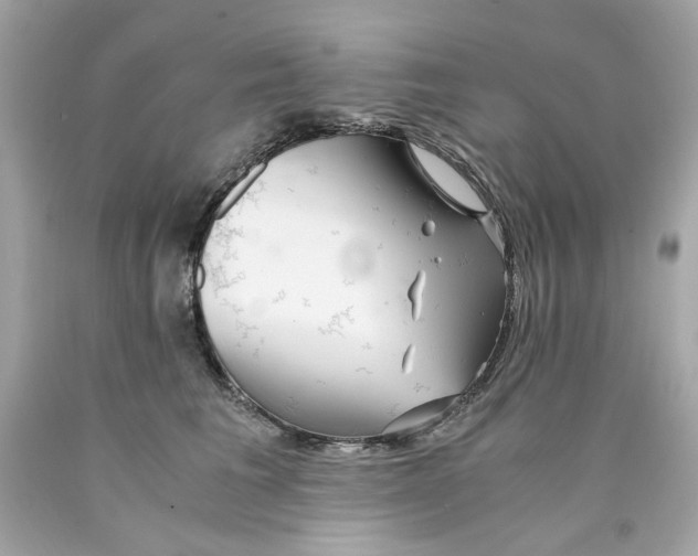 X0000089970613200707202012