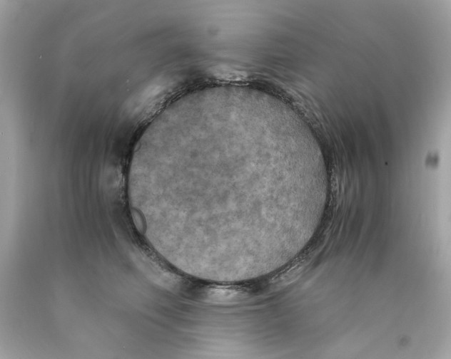 X0000089970614200707202012