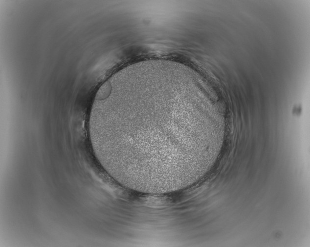 X0000089970615200707202012