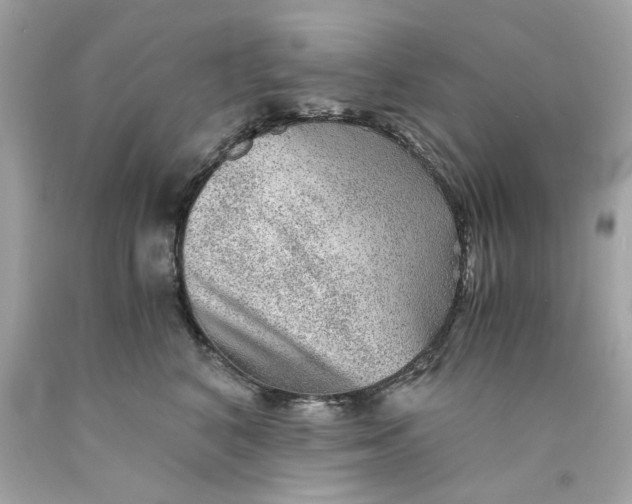 X0000089970616200707202012