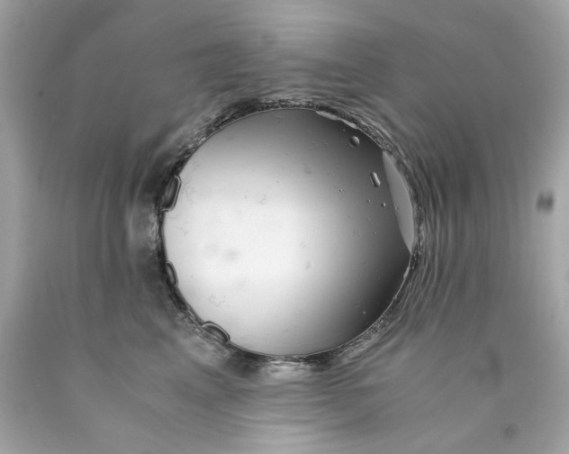 X0000089970617200707202012