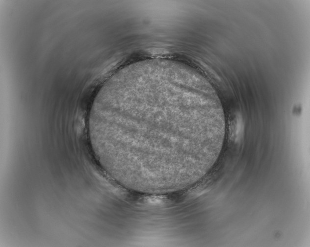 X0000089970618200707202012