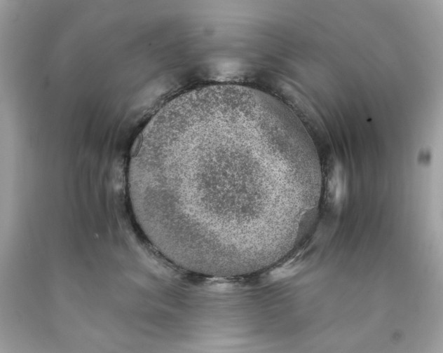 X0000089970620200707202012