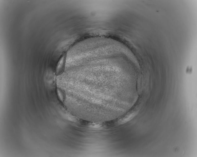 X0000089970624200707202012