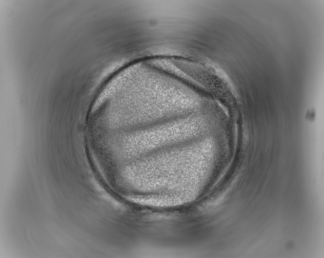 X0000089970625200707202011