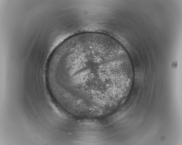 X0000089970626200707202011