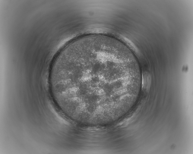 X0000089970627200707202011