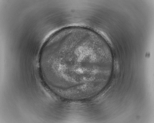 X0000089970628200707202011