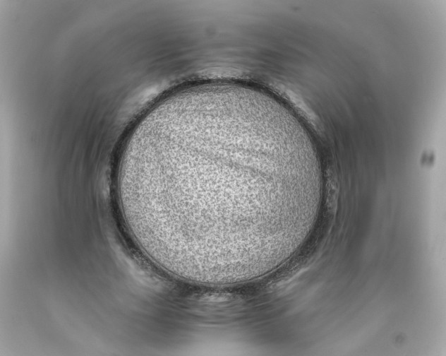 X0000089970631200707202011