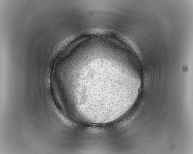 X0000089970633200707202011